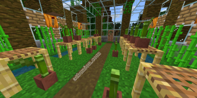 Build an Automatic Sugarcane and Bamboo Farm in Minecraft With This Step-By-Step Guide